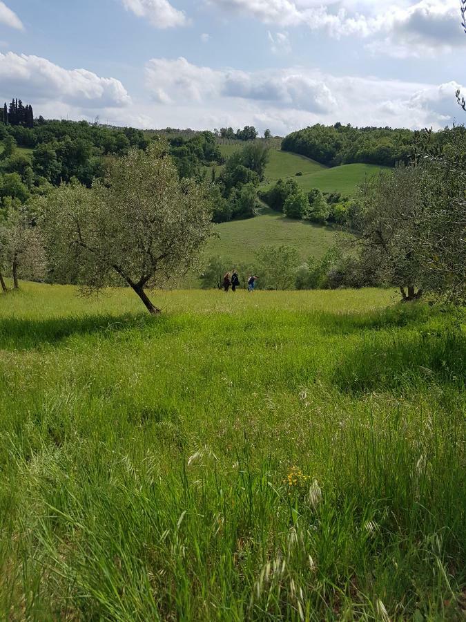 Отель La Rocca Chianti Hospitality Tavarnelle Val di Pesa Экстерьер фото